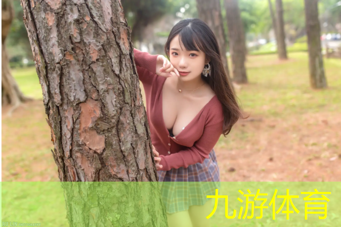 园林绿化工程公司的税率