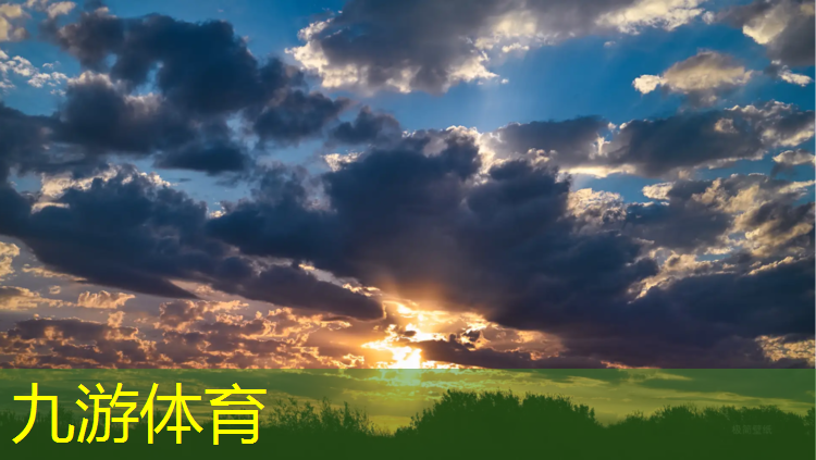 阳兴大道绿化工程招标信息