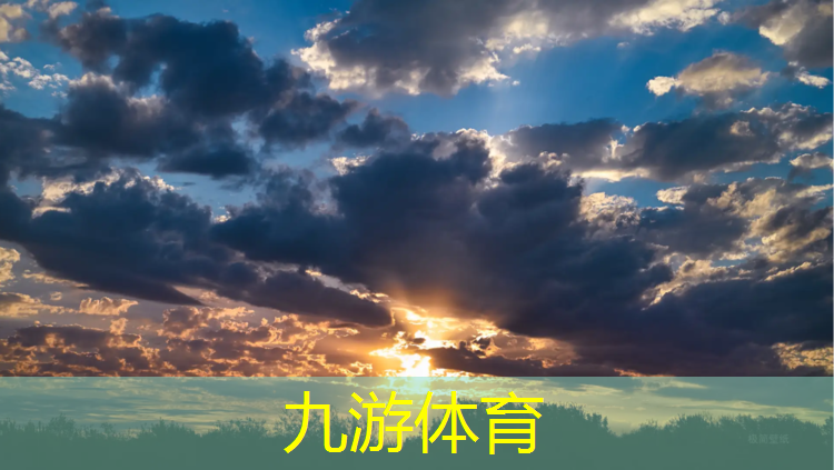 新绿园绿化工程有限公司